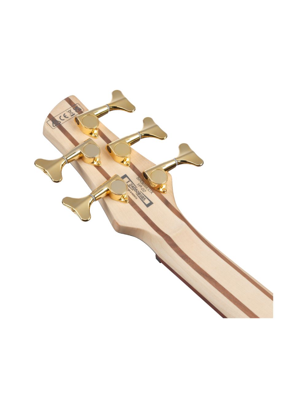 Ibanez SR305EDXWZM SR 5-String Bass Guitar - Wine Red Frozen Matte