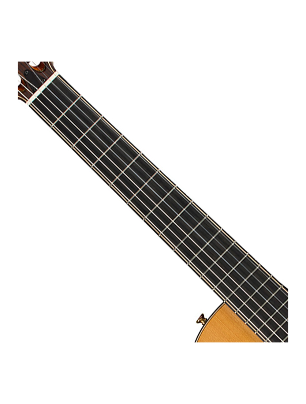 Cordoba Stage Artist Nylon-String Electric Guitar - Traditional