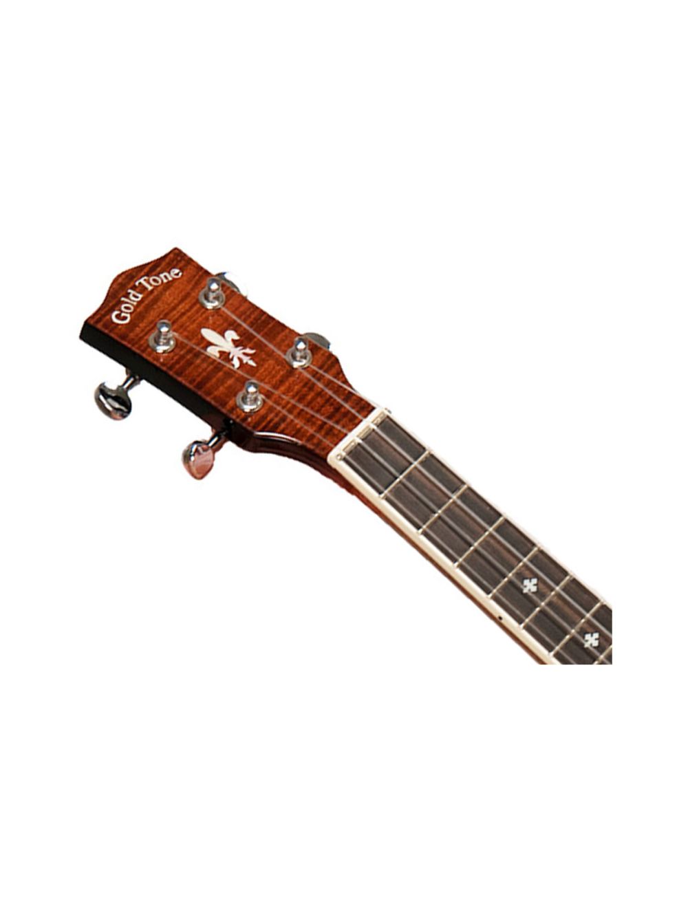 Gold tone banjolele dlx discount