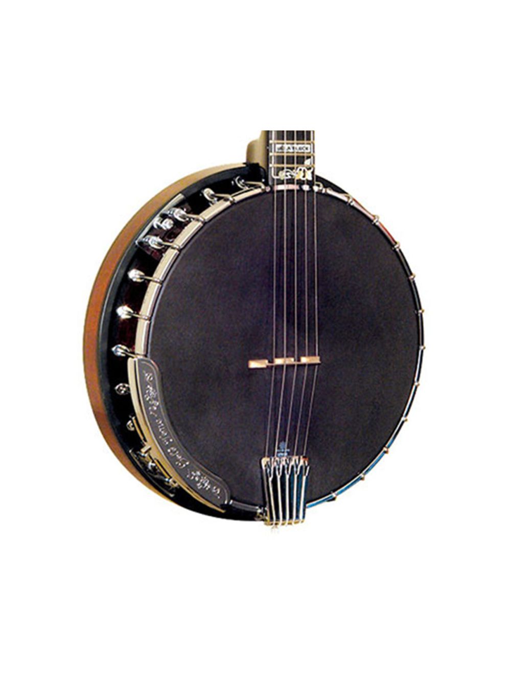 Banjo fleck best sale