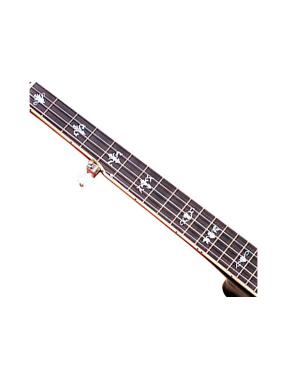 Gold Tone CEB-5 5-String Cello Banjo - Open Box