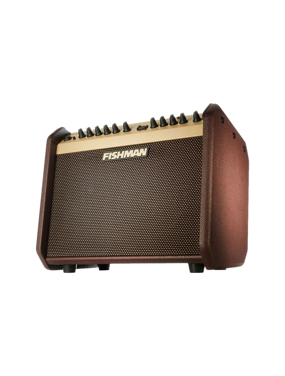 Fishman Loudbox Mini with Bluetooth