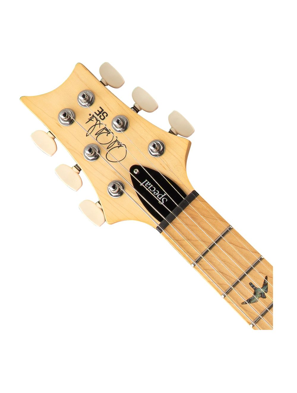 PRS SE Swamp Ash Special Electric Guitar - Iri Blue