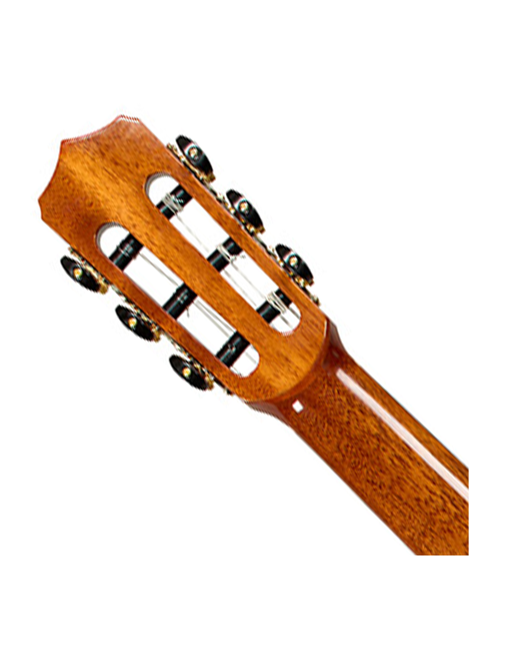 Cordoba Stage Artist Nylon-String Electric Guitar - Agave Burst