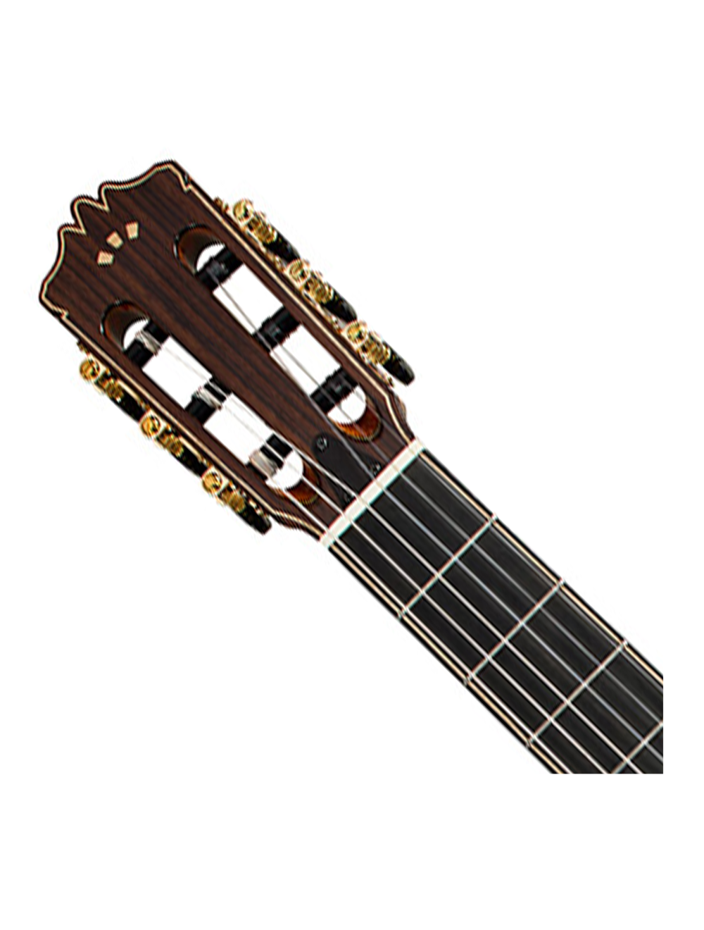 Cordoba Stage Artist Nylon-String Electric Guitar - Traditional
