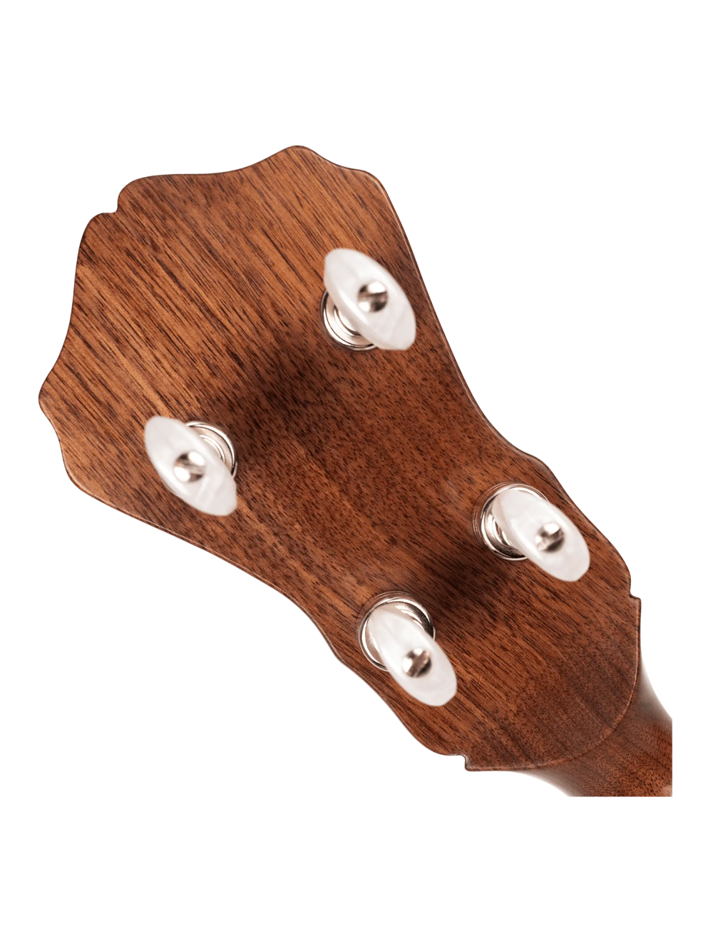 Gold Tone OB-12 Mastertone Top Tension 5-String Banjo