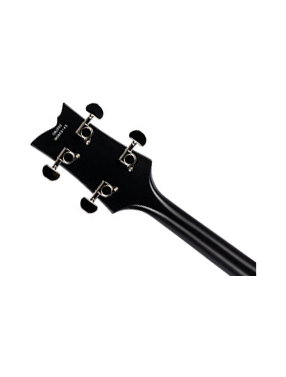 Ortega Guitars OBJ250-SBK Raven Series 5-String Banjo - Black