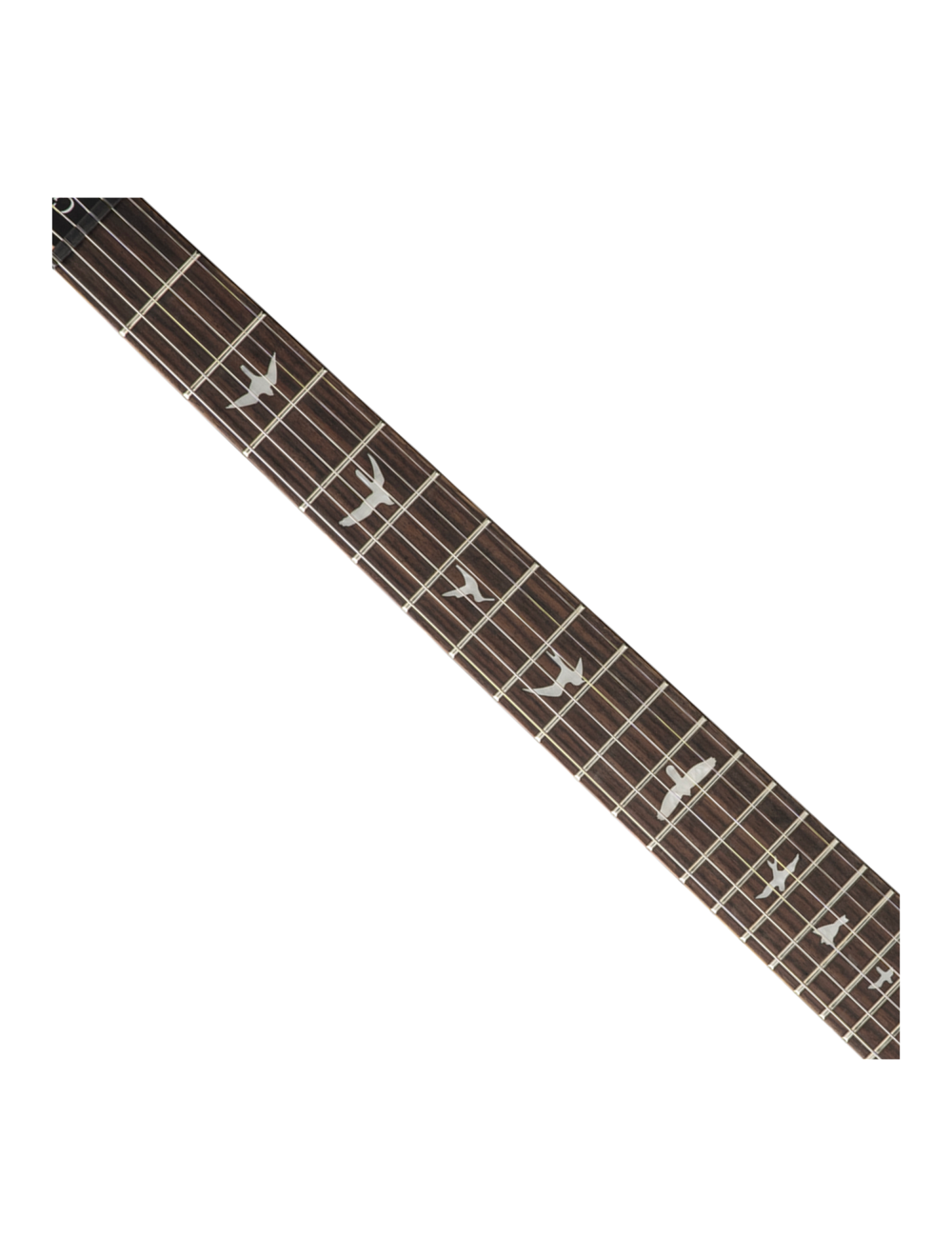 PRS SE Custom 24-08 Electric Guitar - Turquoise