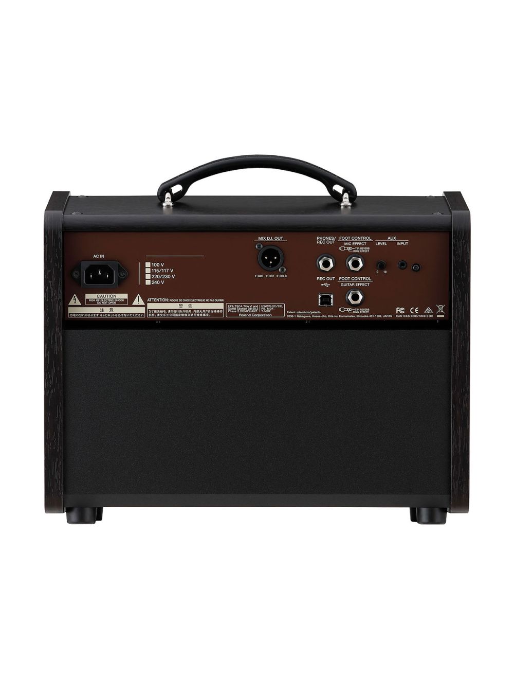 Boss Acoustic Singer Live LT 60 Watt Acoustic Amp
