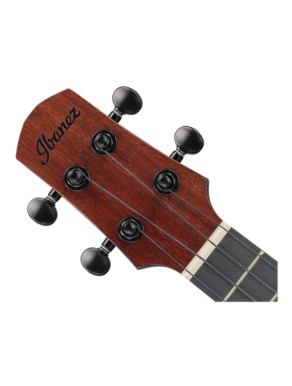 Ibanez AUC14OVL Concert Sized Ukulele - Open Pore Violin Sunburst