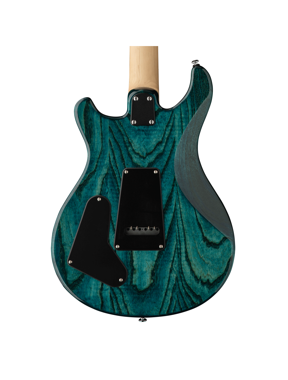 PRS SE Swamp Ash Special Electric Guitar - Iri Blue