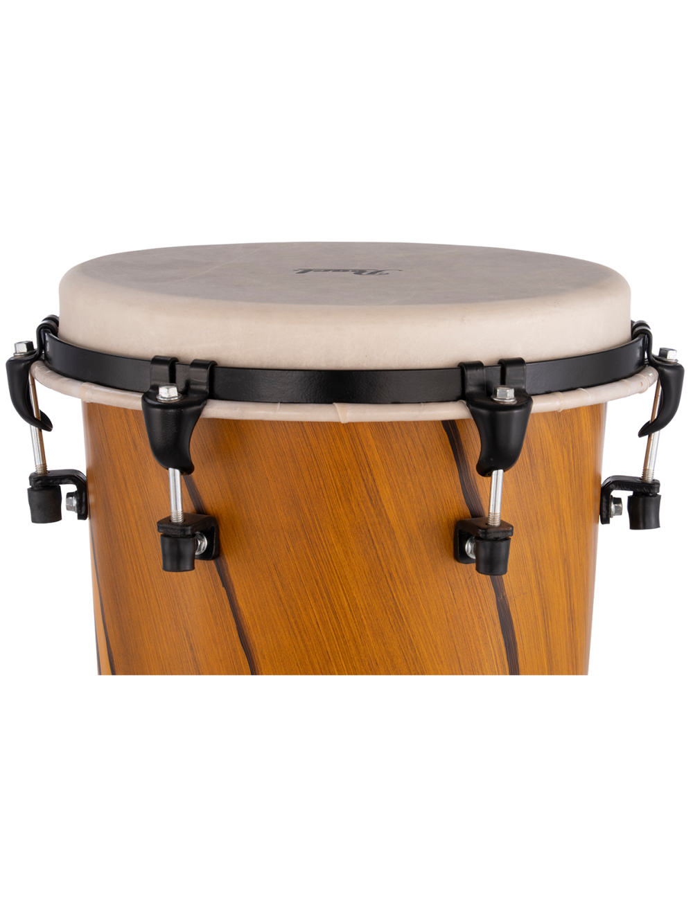 Pearl Top Tuned 10x23.5" Ashiko - Artisan Amber Cypress