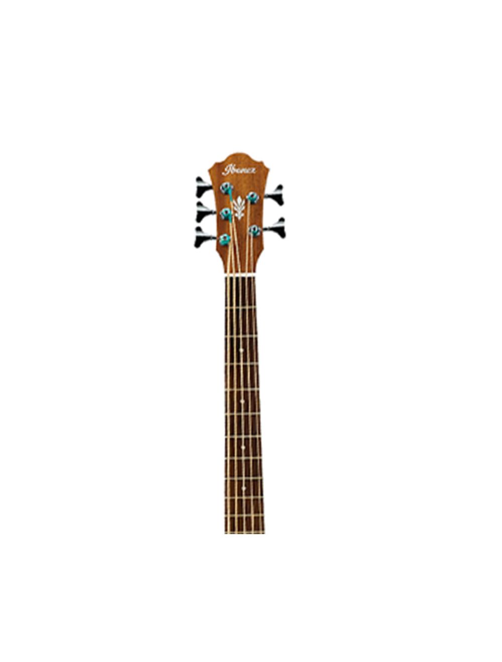 Ibanez AEB105ENT AE Acoustic-Electric 5-String Bass - Natural