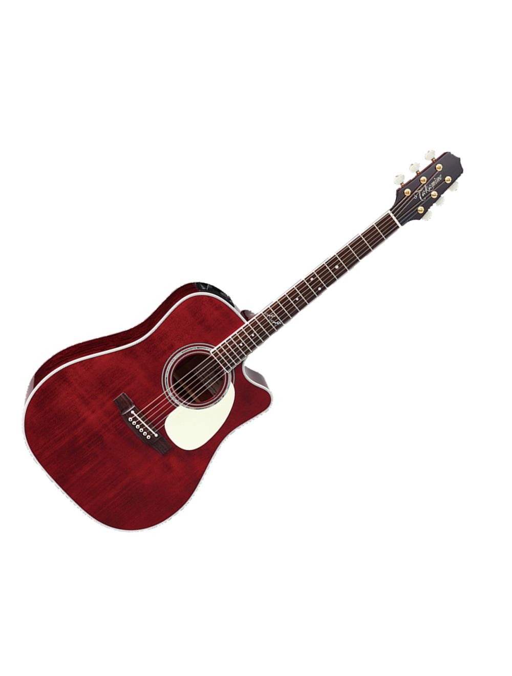 Takamine 6 string sales acoustic