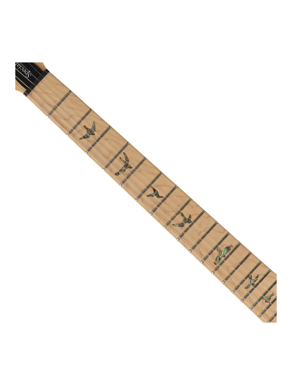 PRS SE Swamp Ash Special Electric Guitar - Iris Blue