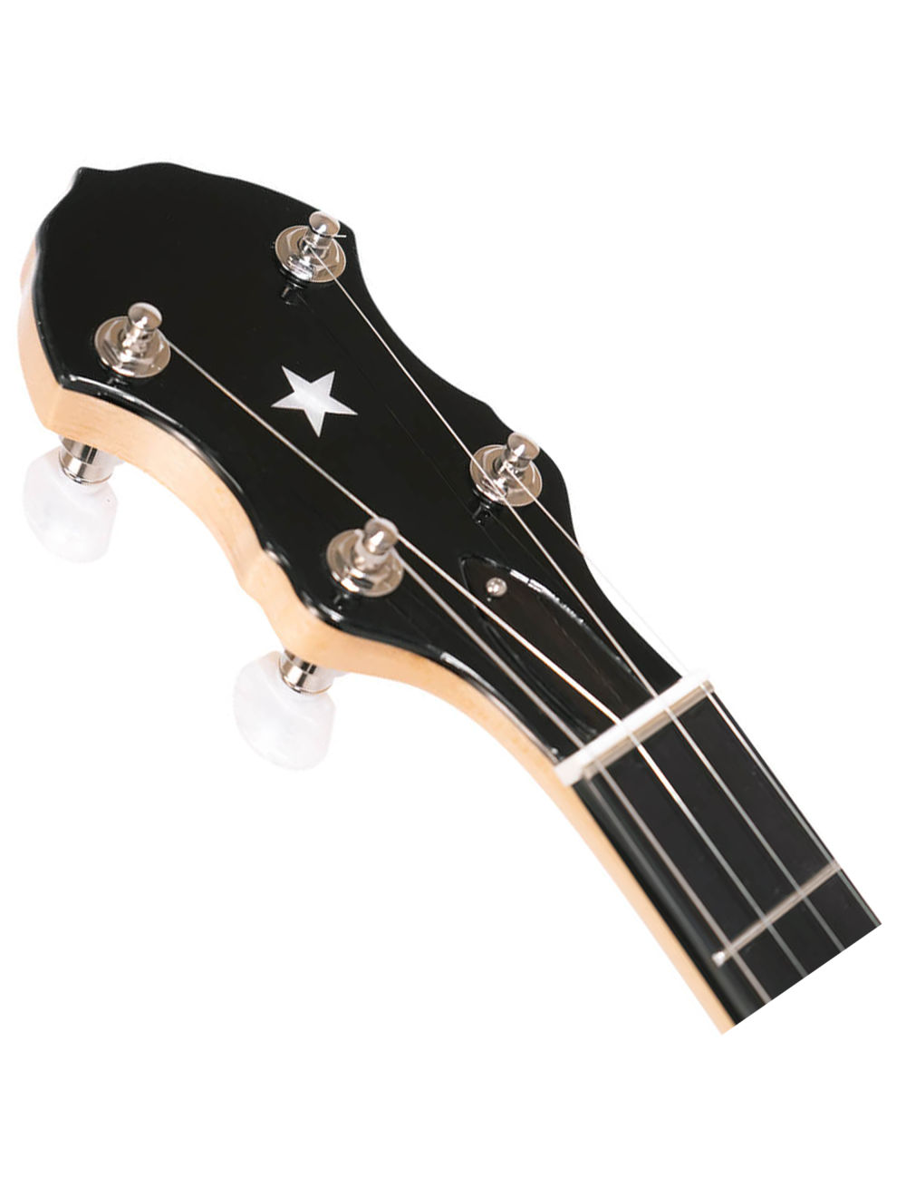 Gold Tone BC-350 Bob Carlin Signature Series Openback Banjo - Open Box