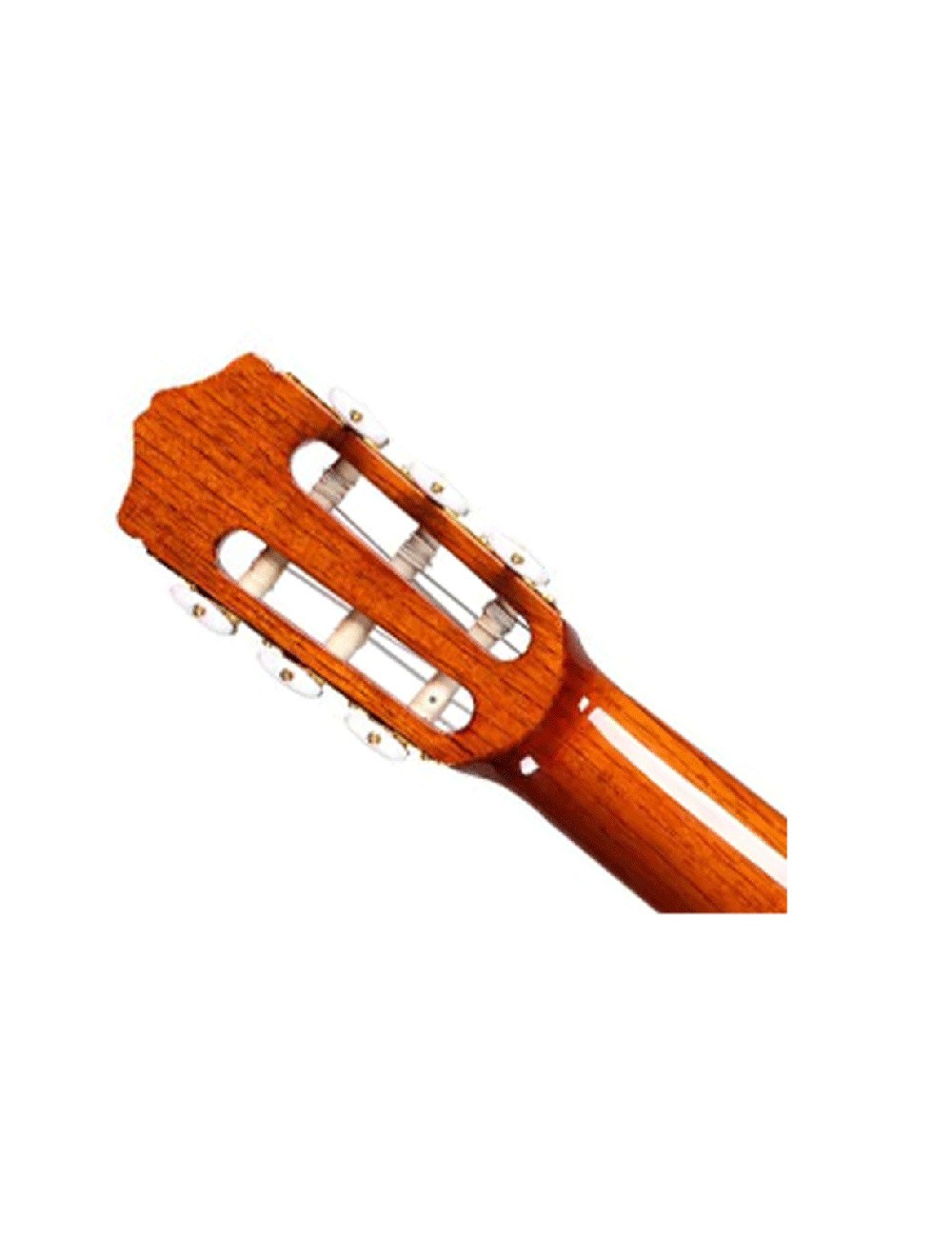 Cordoba Iberia C5 Cedar Left Handed Nylon String Guitar