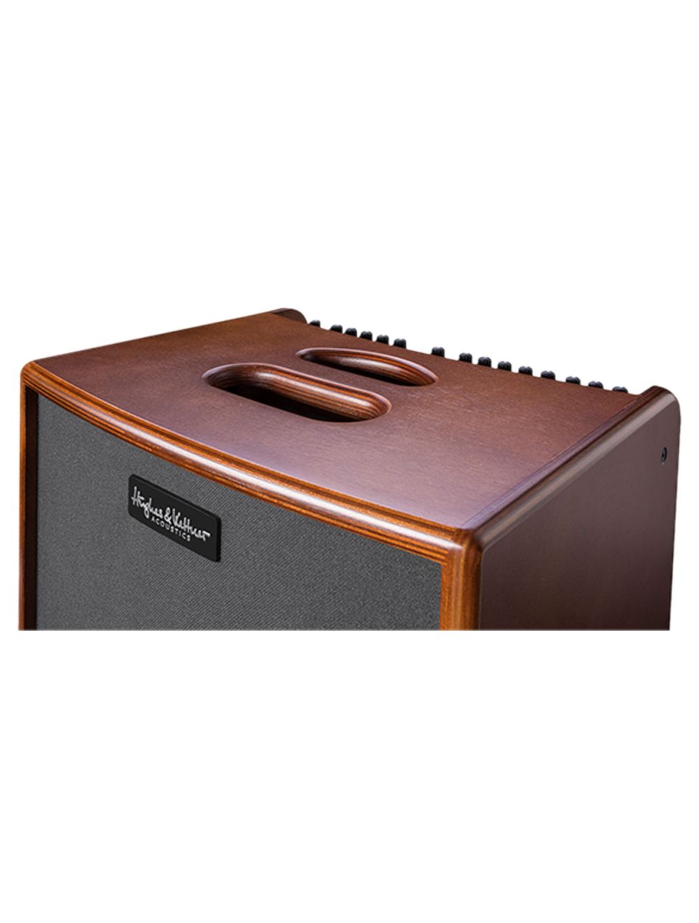 Hughes and Kettner ERA1/WD 250 watts - 8" custom woofer - wood finish